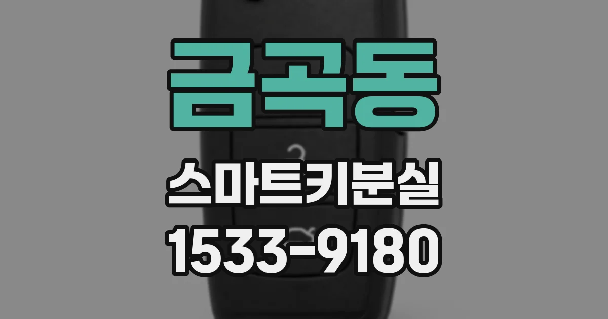 금곡동 스마트키분실