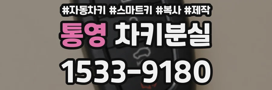 통영 차키분실