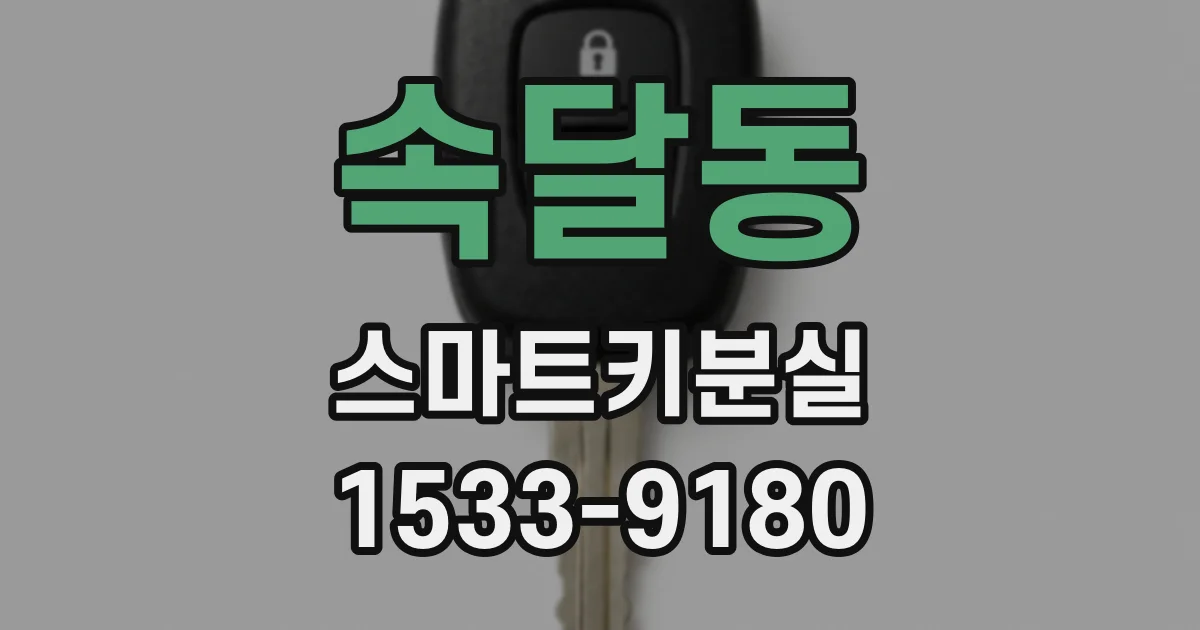 속달동 스마트키분실