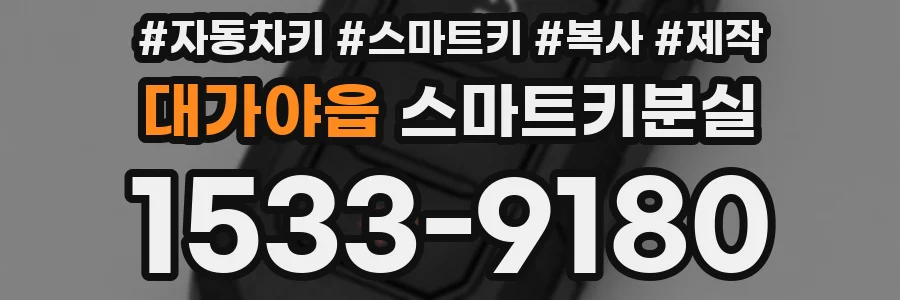 대가야읍 스마트키분실