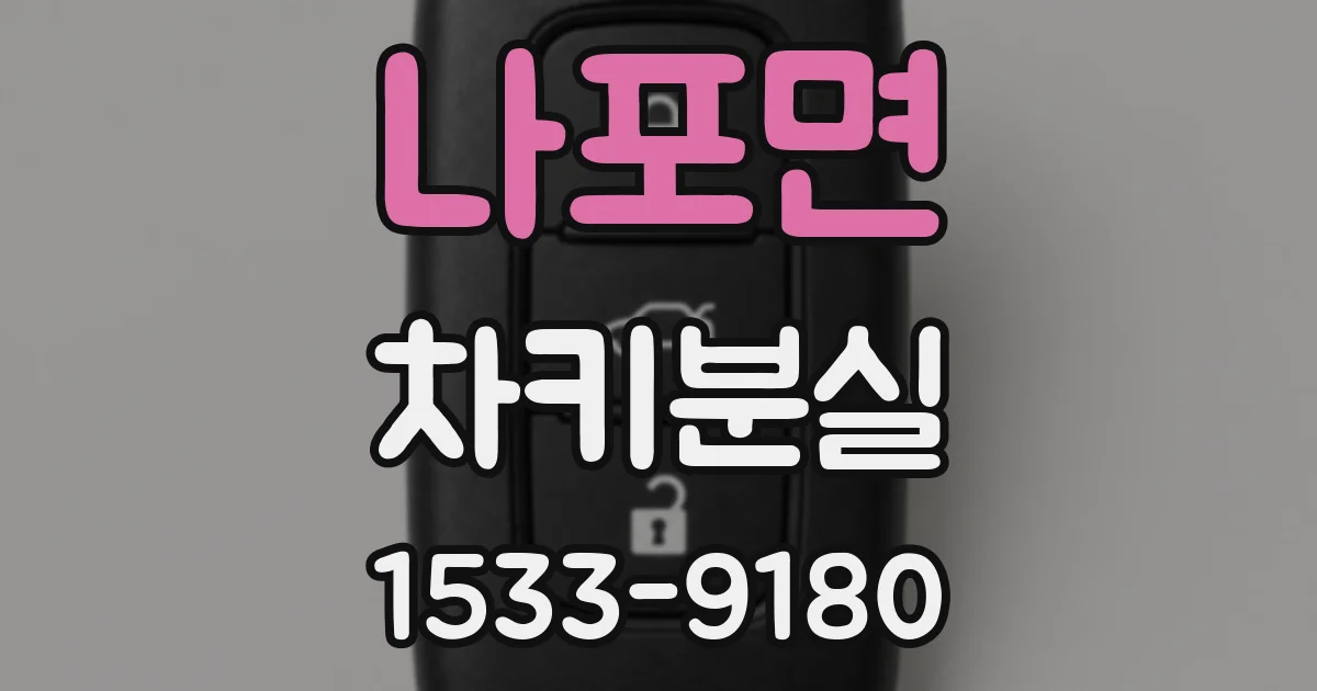 나포면 차키분실