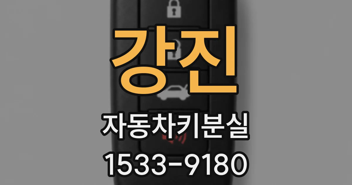 강진 자동차키분실