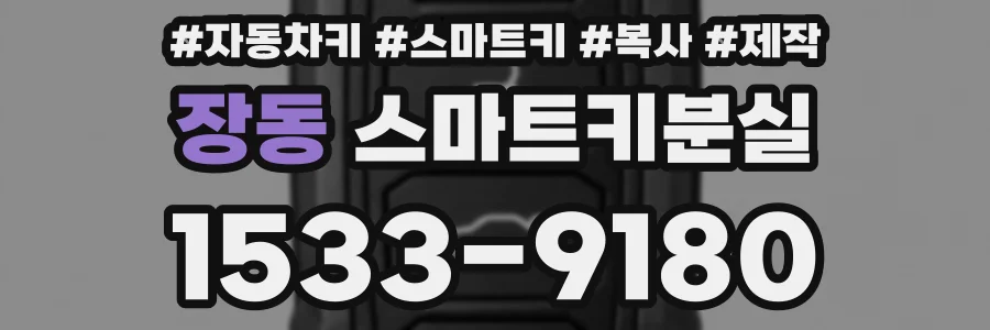 장동 스마트키분실