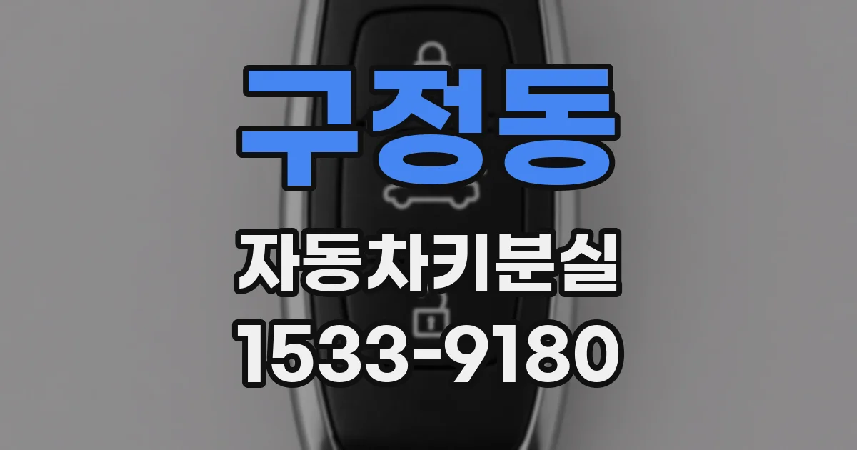 구정동 자동차키분실
