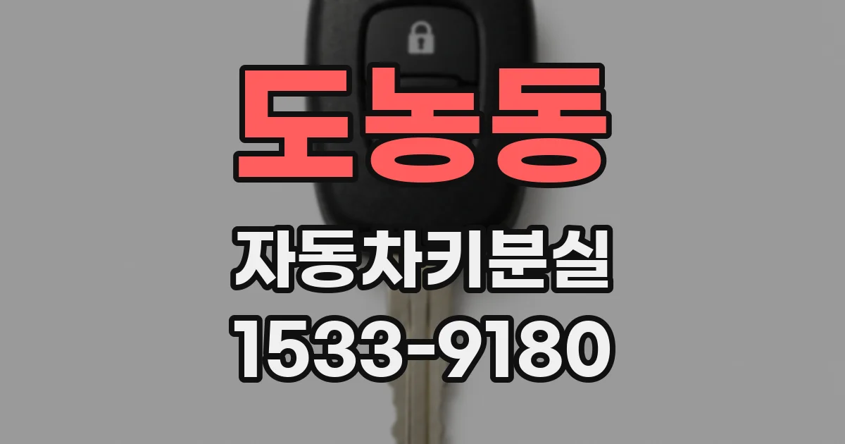 도농동 자동차키분실
