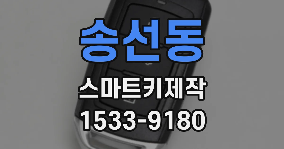 송선동 스마트키제작