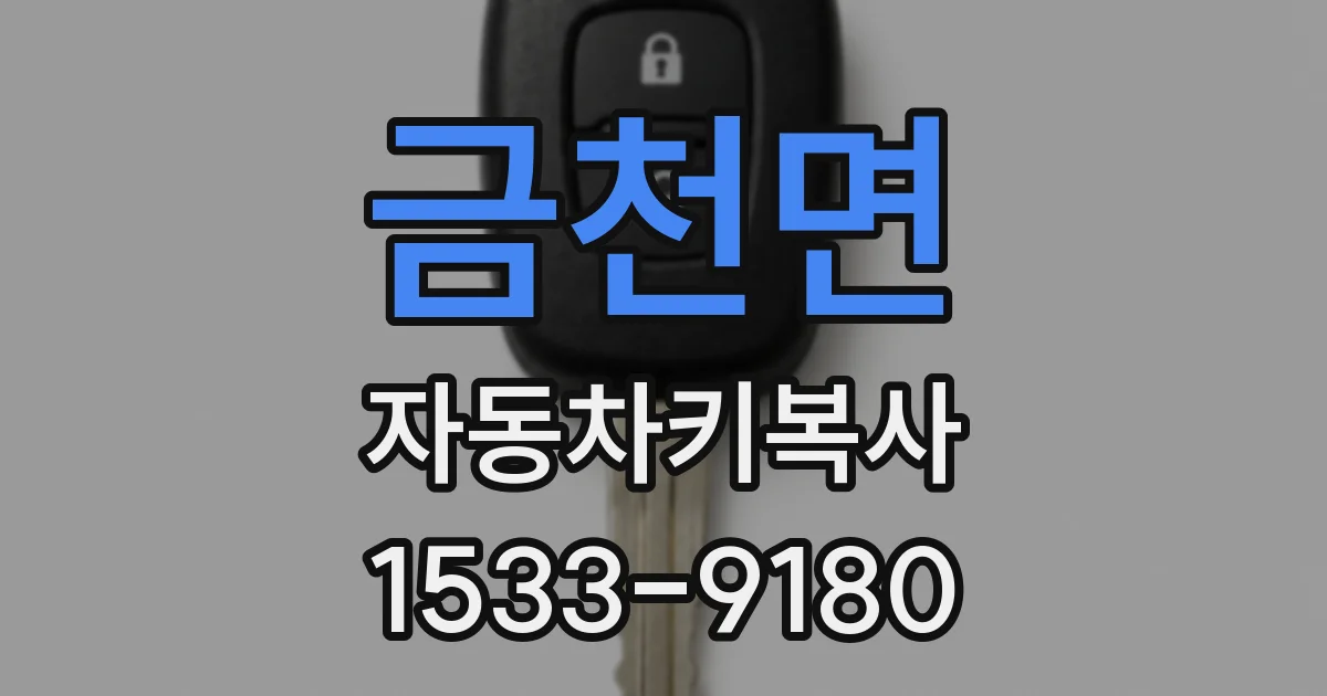 금천면 자동차키복사
