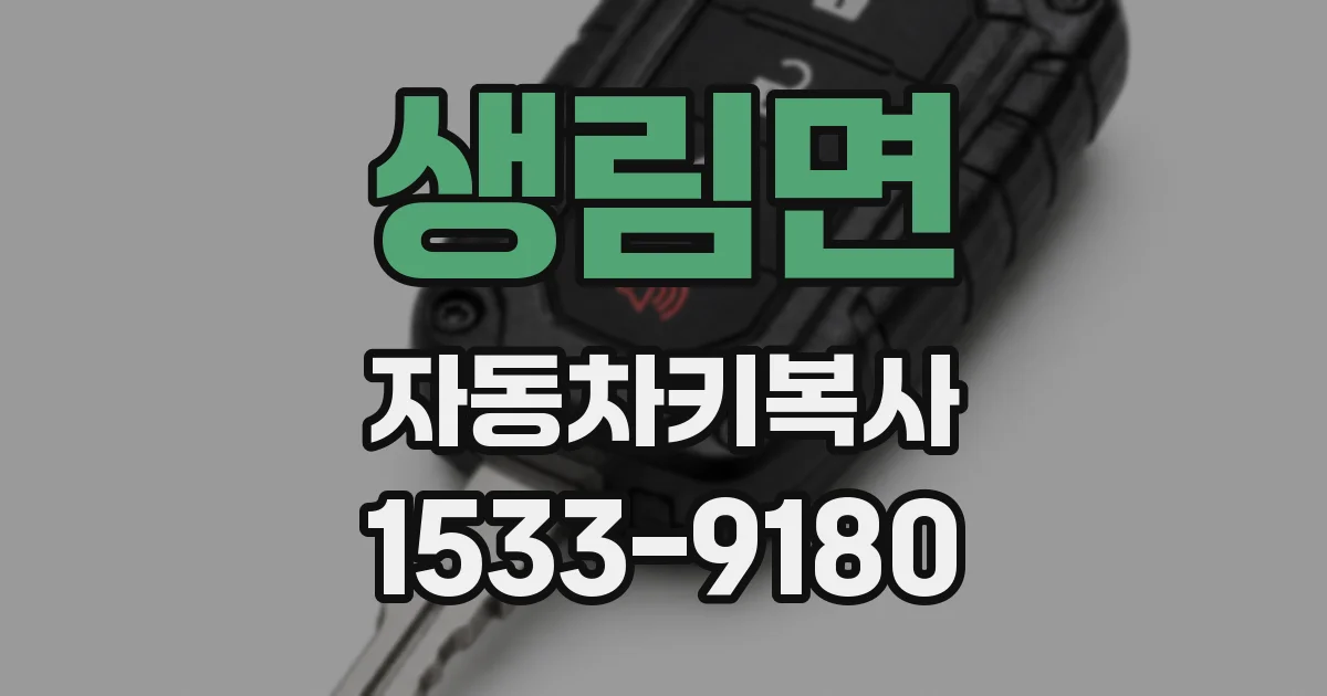 생림면 자동차키복사