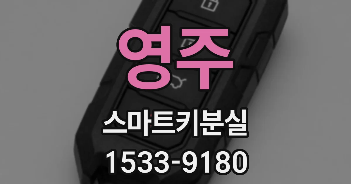 영주 스마트키분실