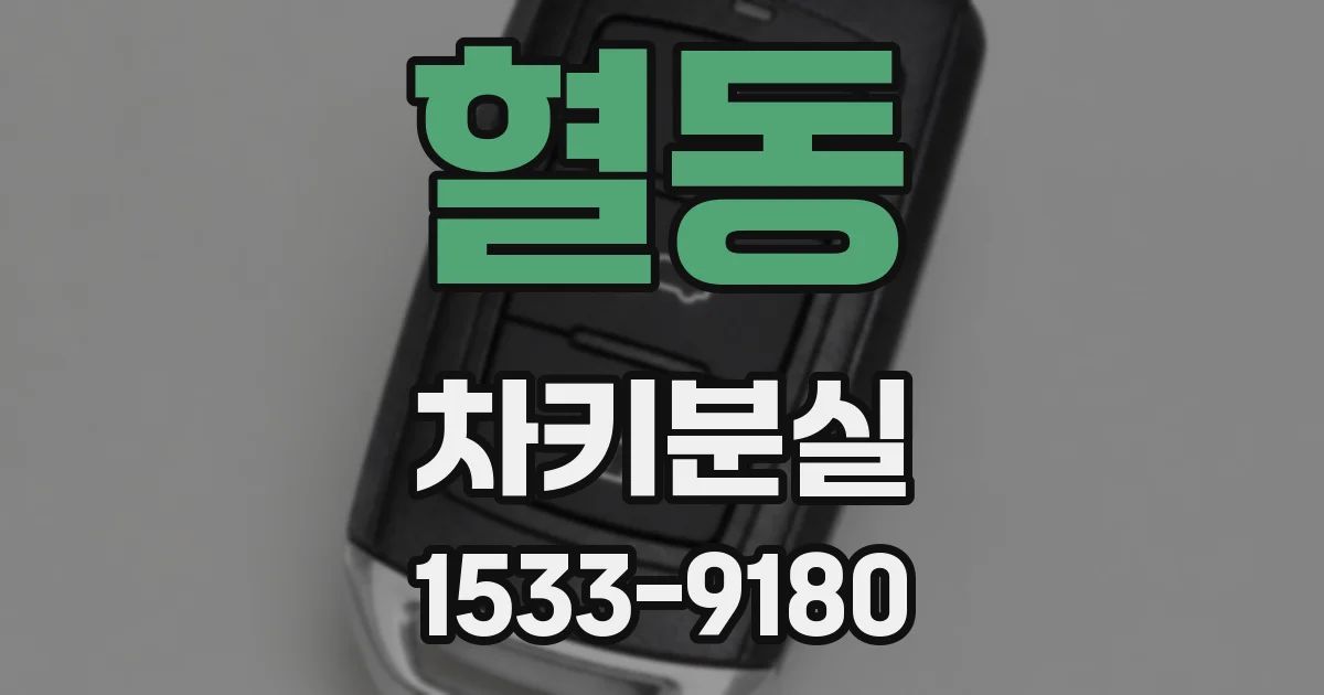 혈동 차키분실