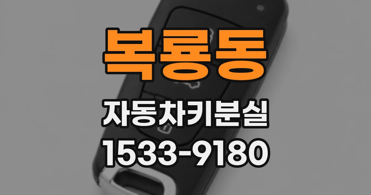 복룡동 자동차키분실