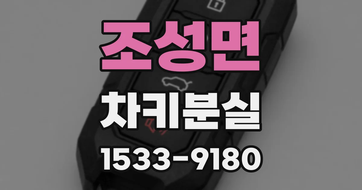 조성면 차키분실