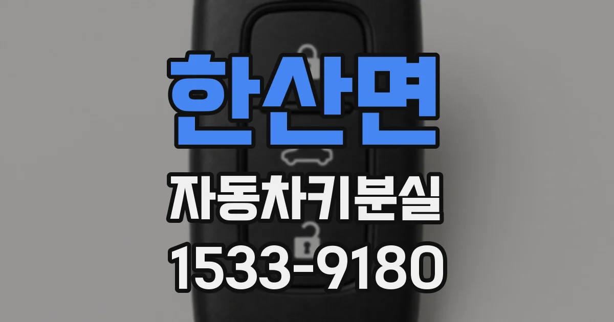 한산면 자동차키분실