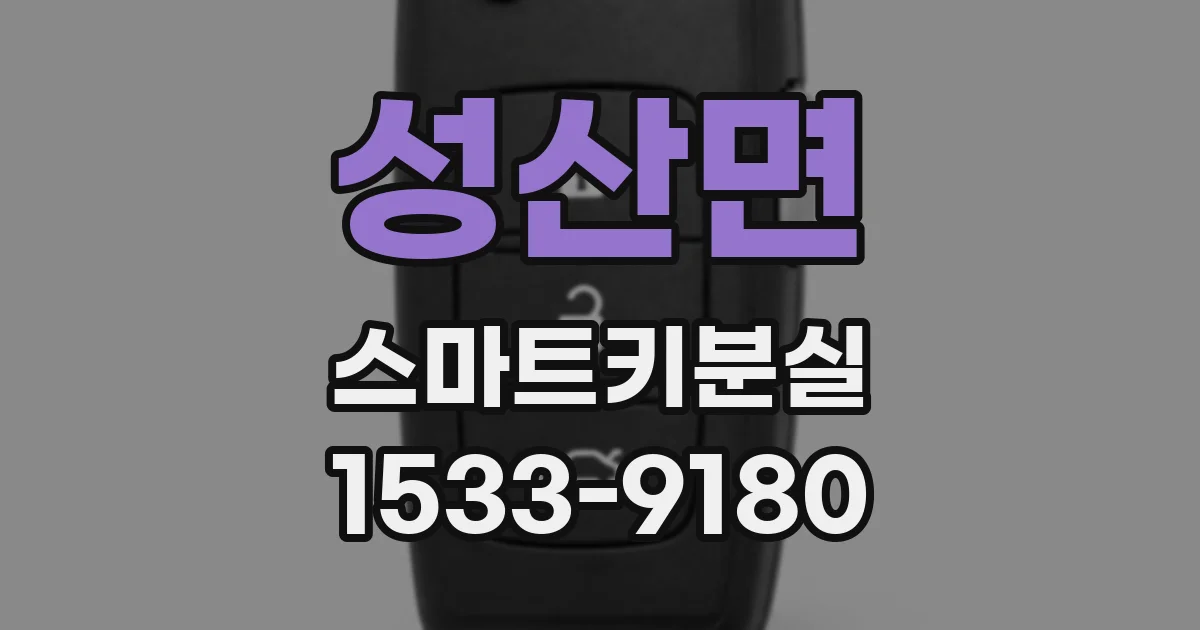 성산면 스마트키분실