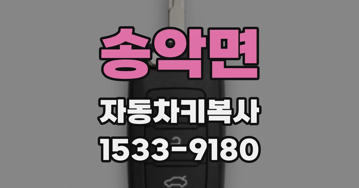 송악면 자동차키복사