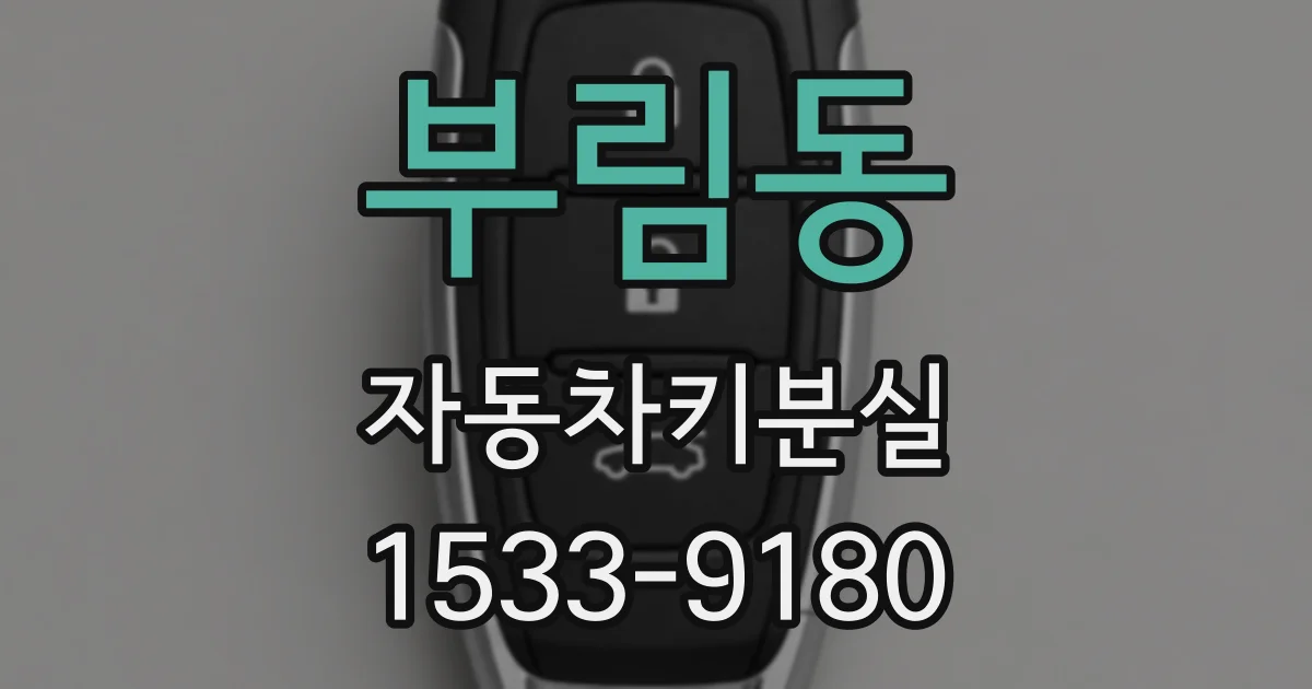 부림동 자동차키분실