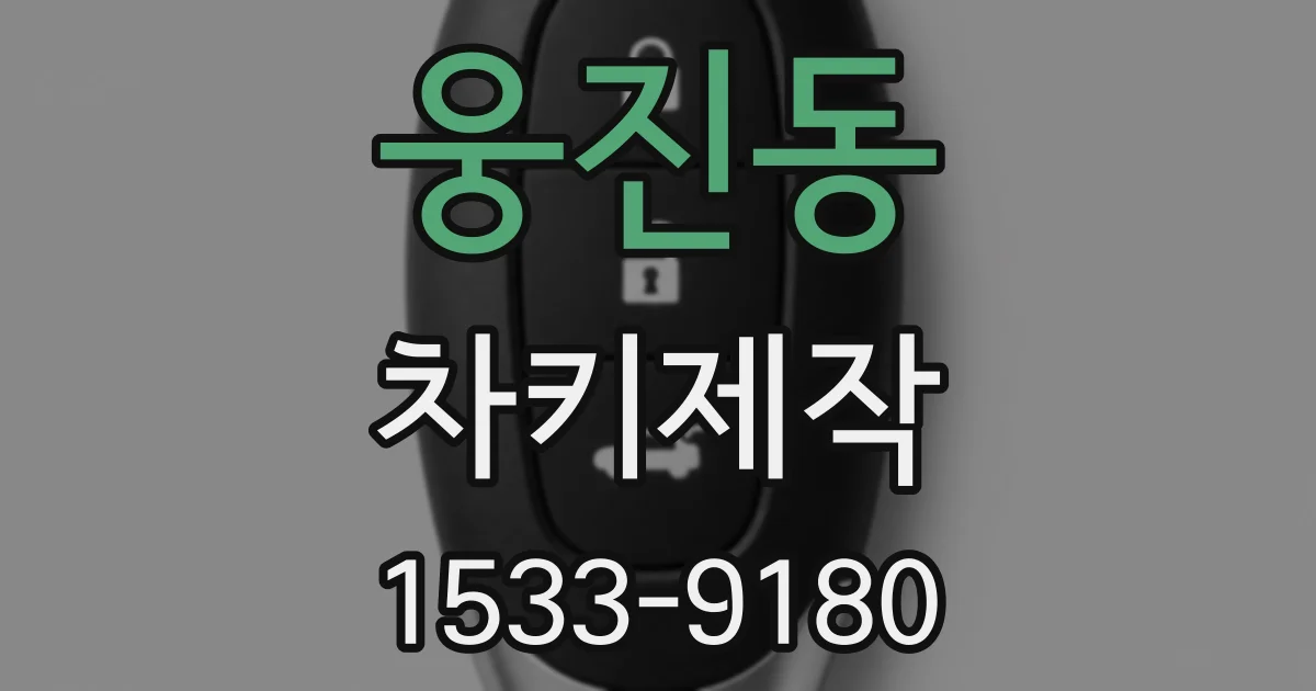 웅진동 차키제작