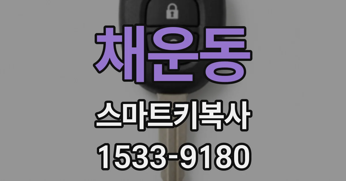 채운동 스마트키복사