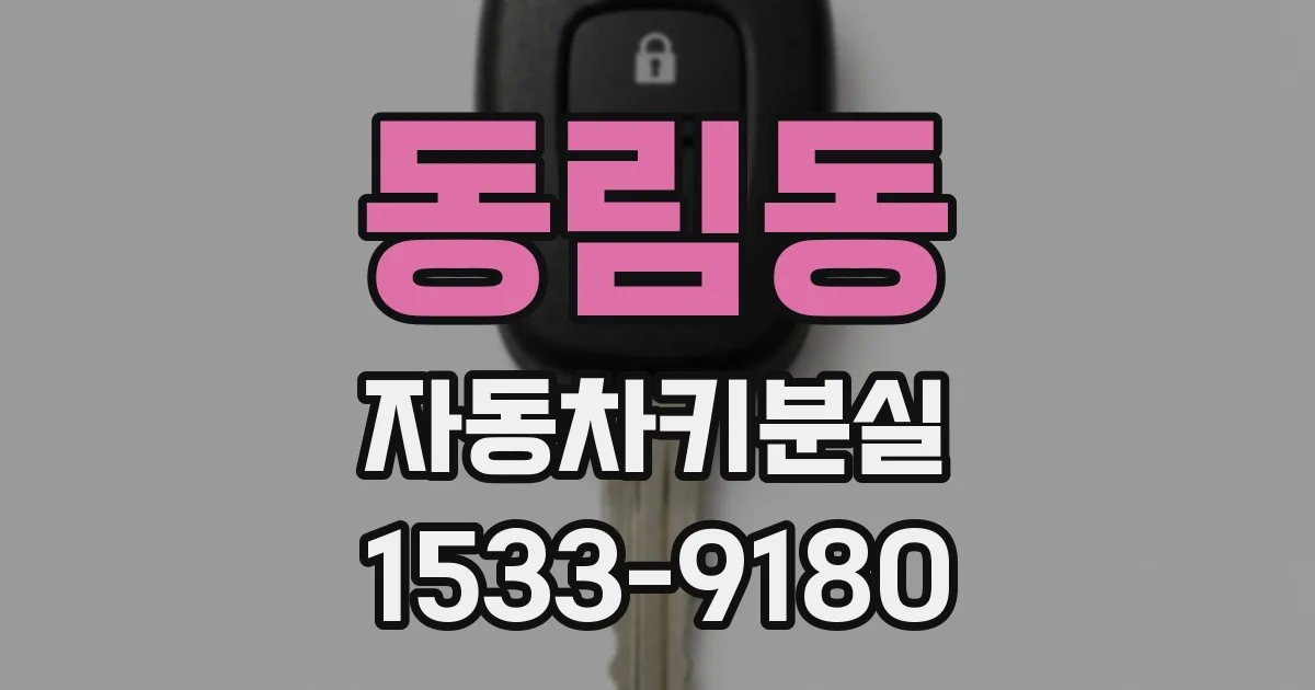 동림동 자동차키분실