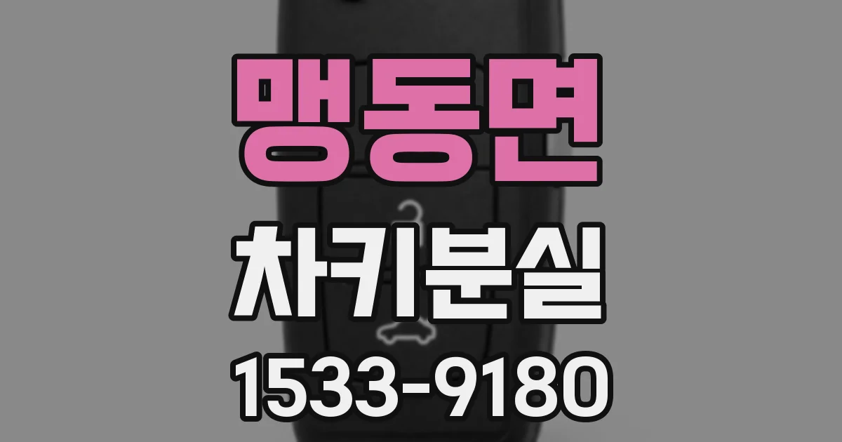 맹동면 차키분실
