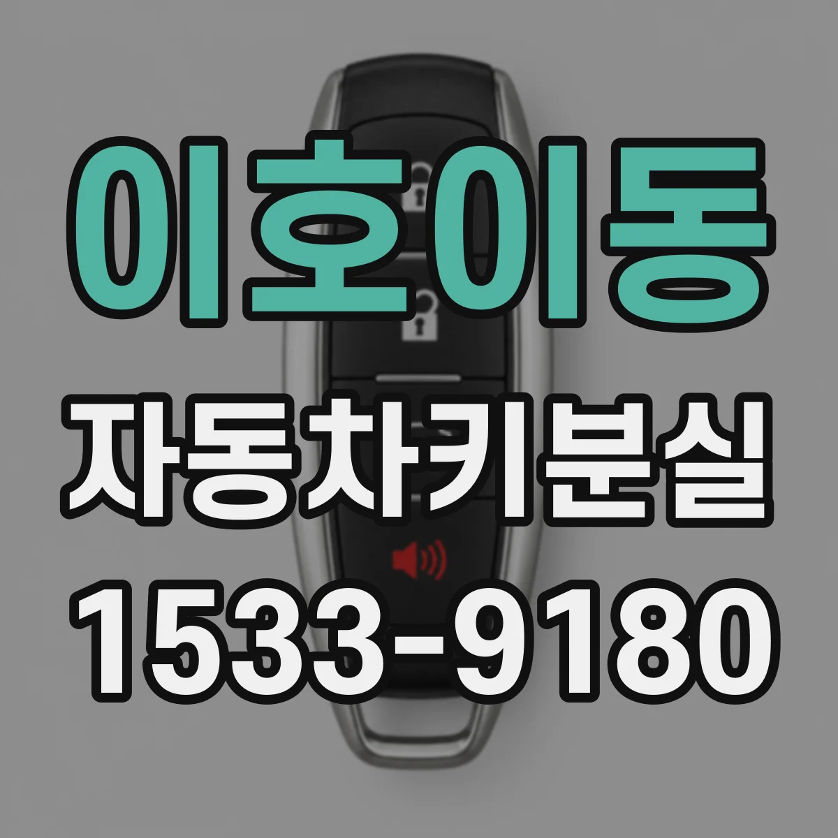 이호이동 자동차키분실