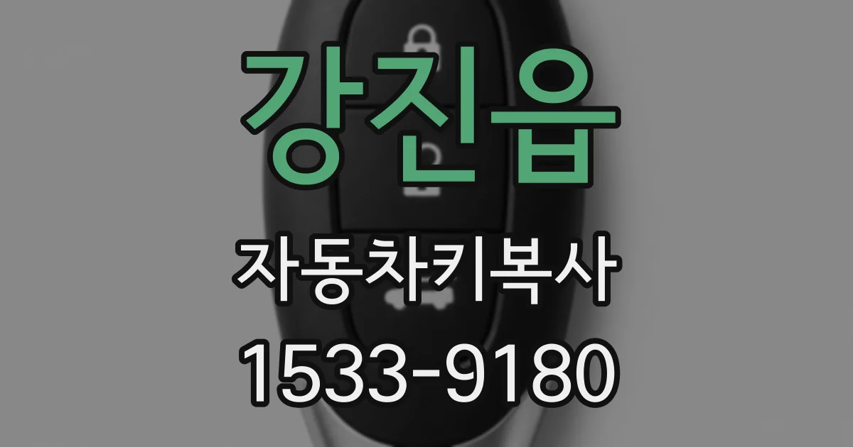 강진읍 자동차키복사