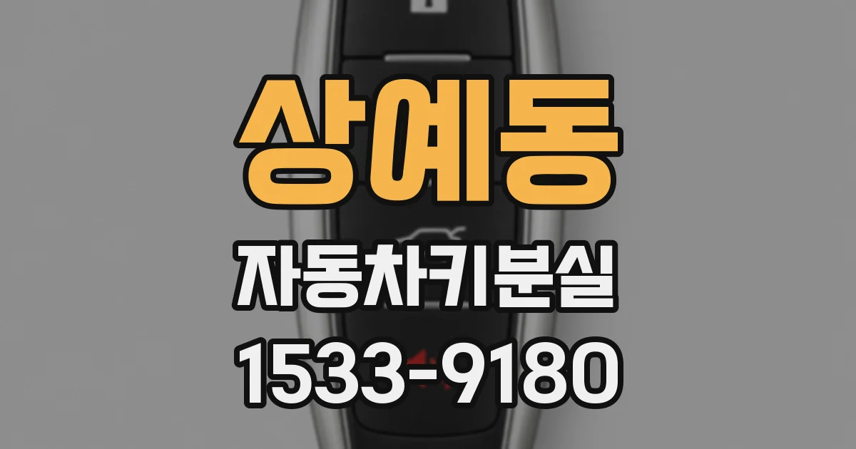 상예동 자동차키분실