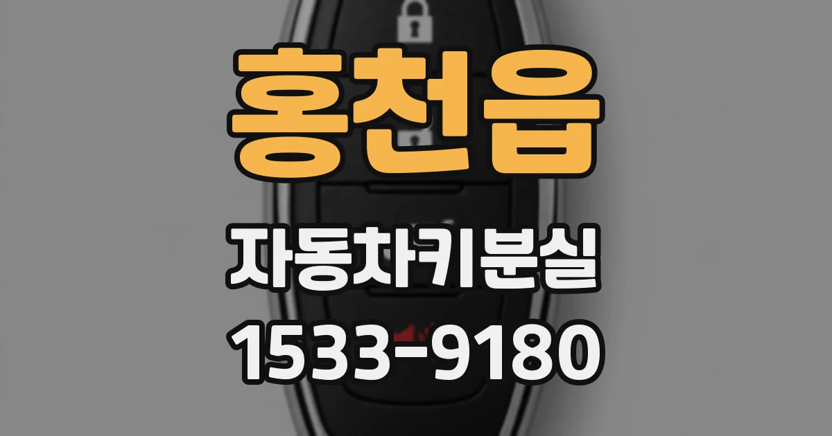 홍천읍 자동차키분실