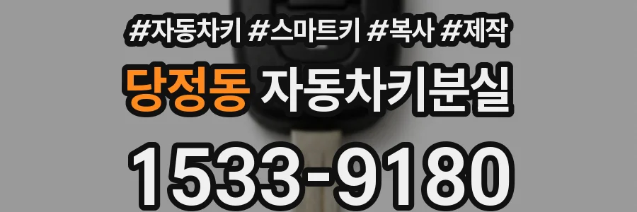 당정동 자동차키분실