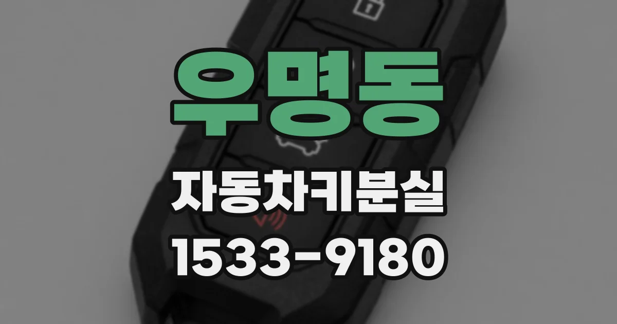 우명동 자동차키분실