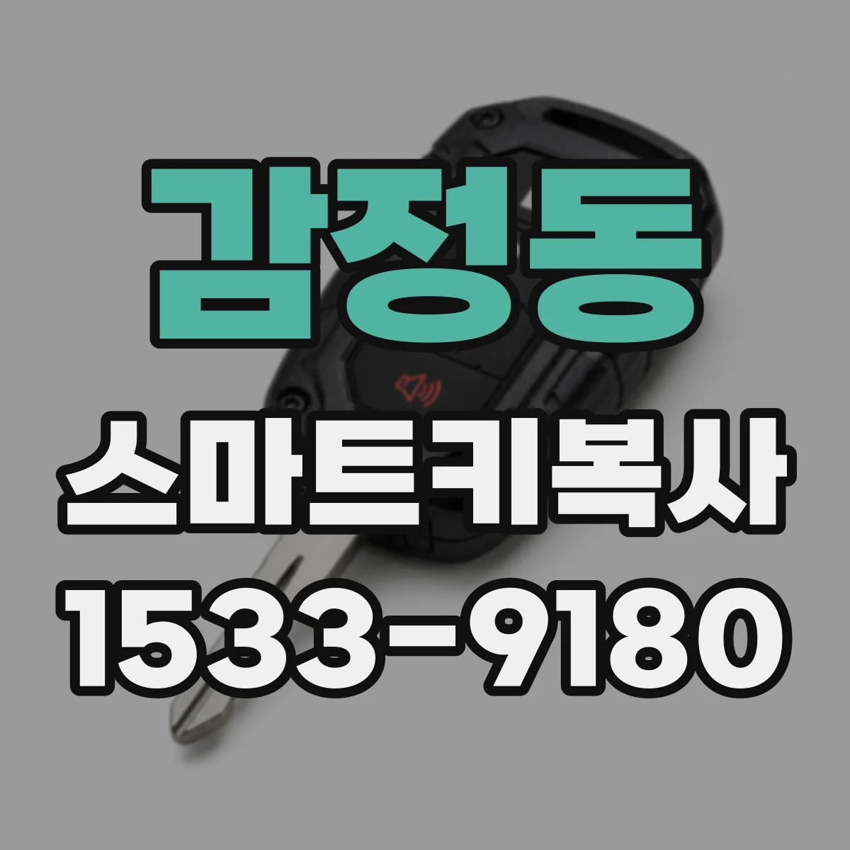 감정동 스마트키복사