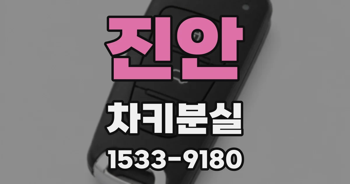 진안 차키분실