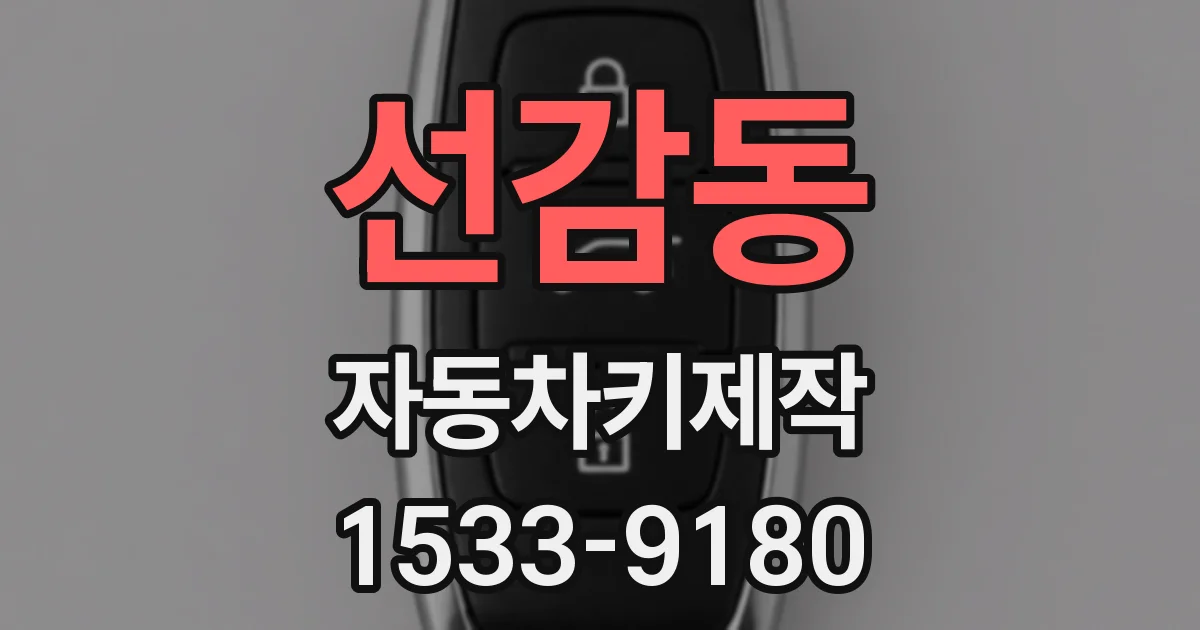 선감동 자동차키제작