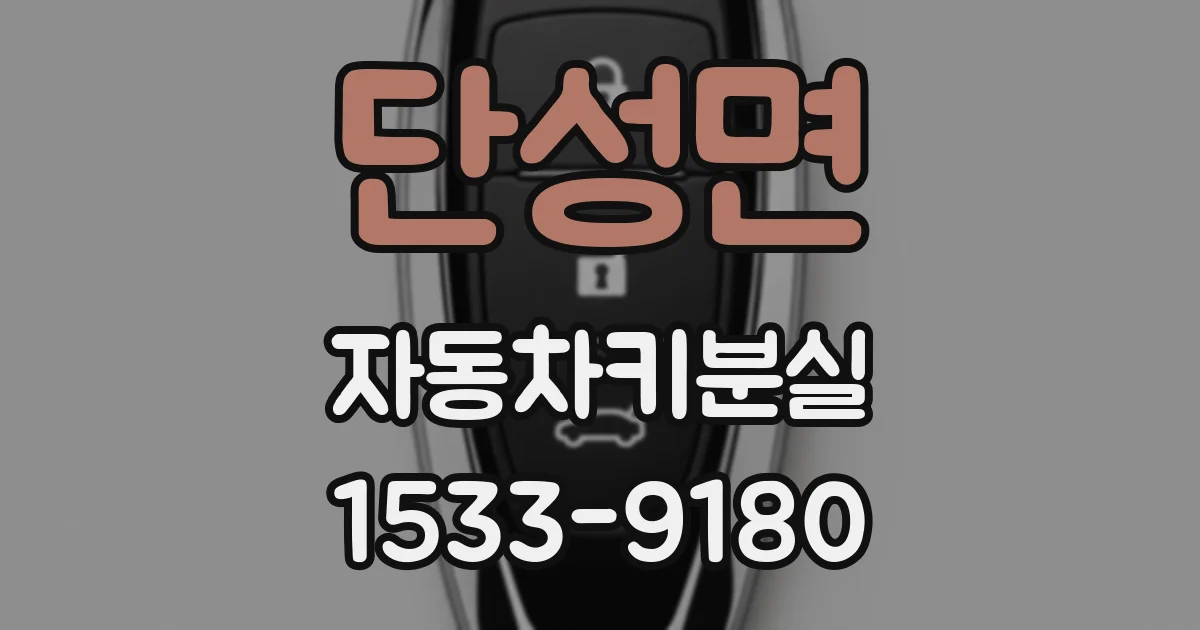단성면 자동차키분실