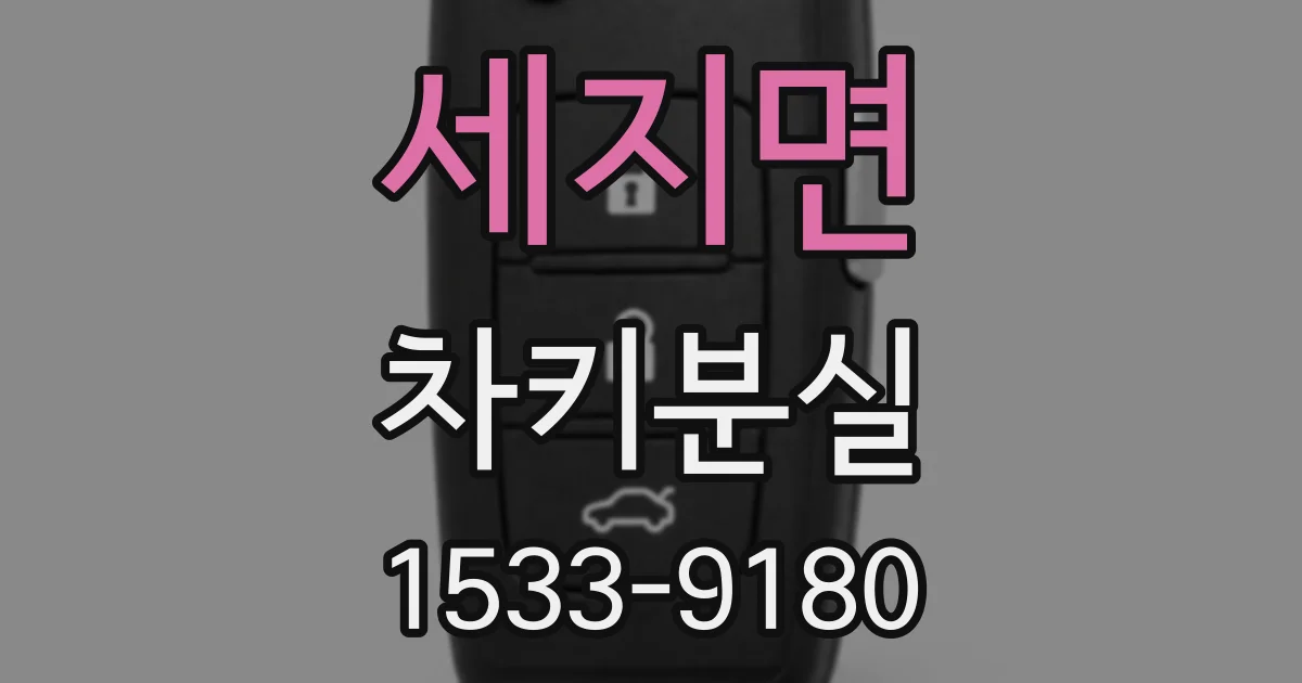 세지면 차키분실