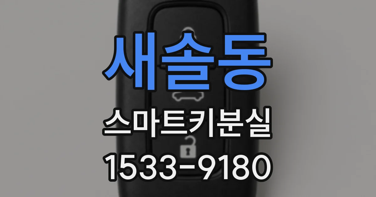 새솔동 스마트키분실