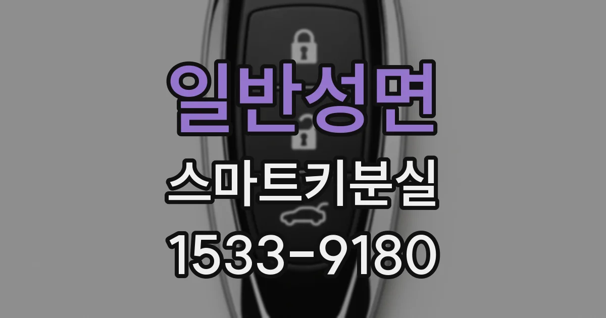 일반성면 스마트키분실
