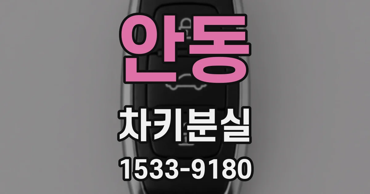 안동 차키분실