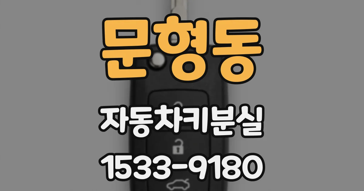 문형동 자동차키분실