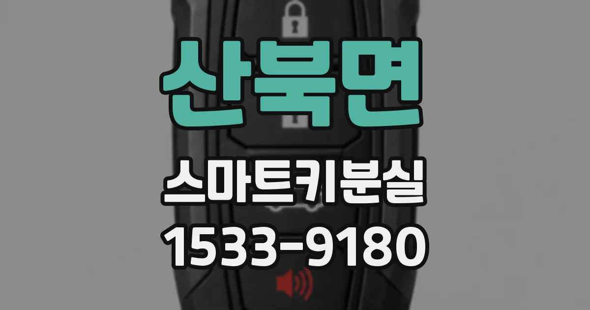 산북면 스마트키분실