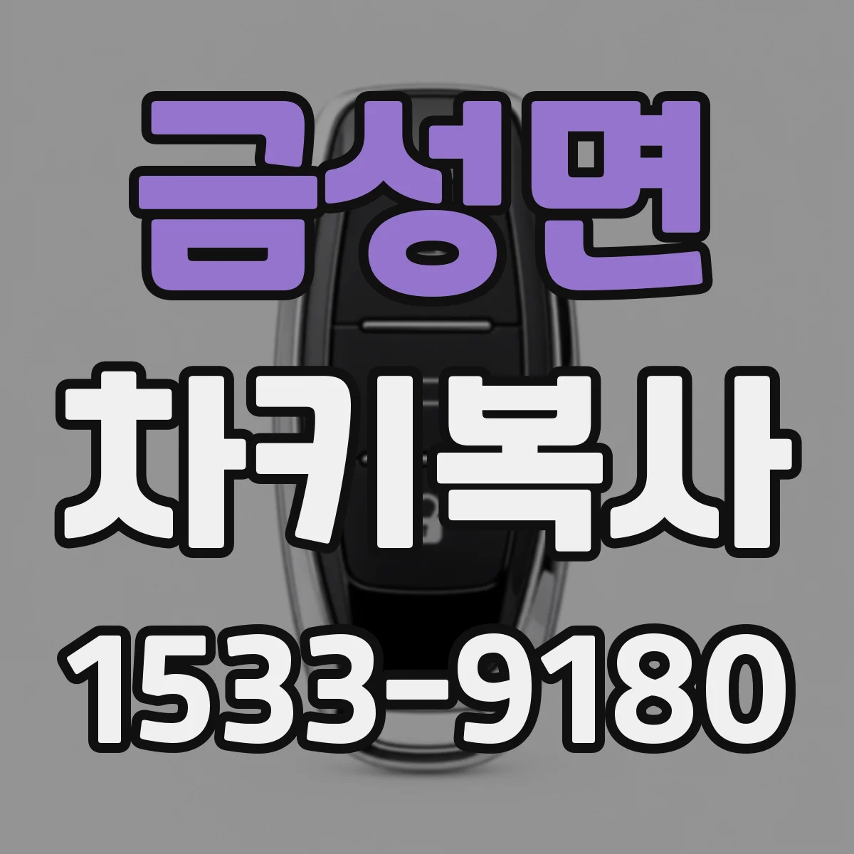 금성면 차키복사
