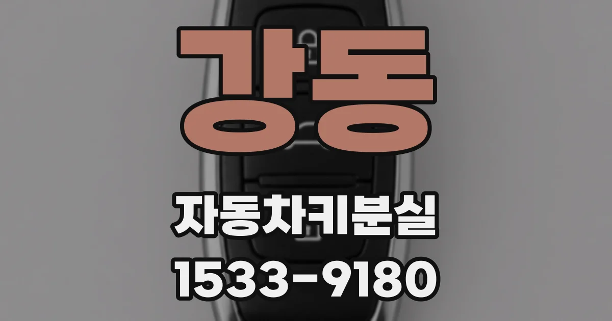 강동 자동차키분실