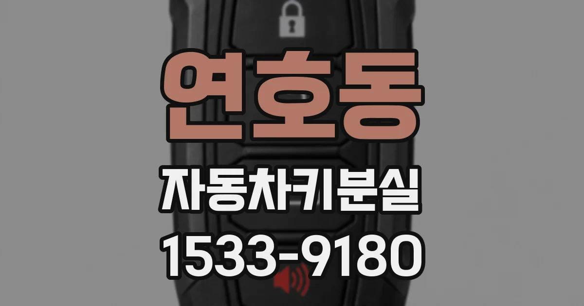 연호동 자동차키분실