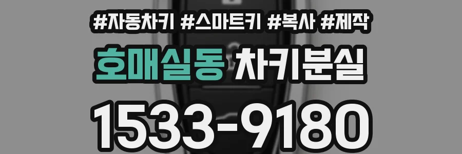호매실동 차키분실