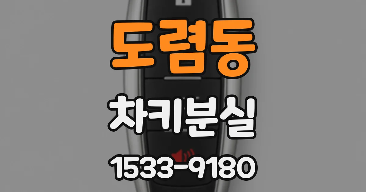 도렴동 차키분실