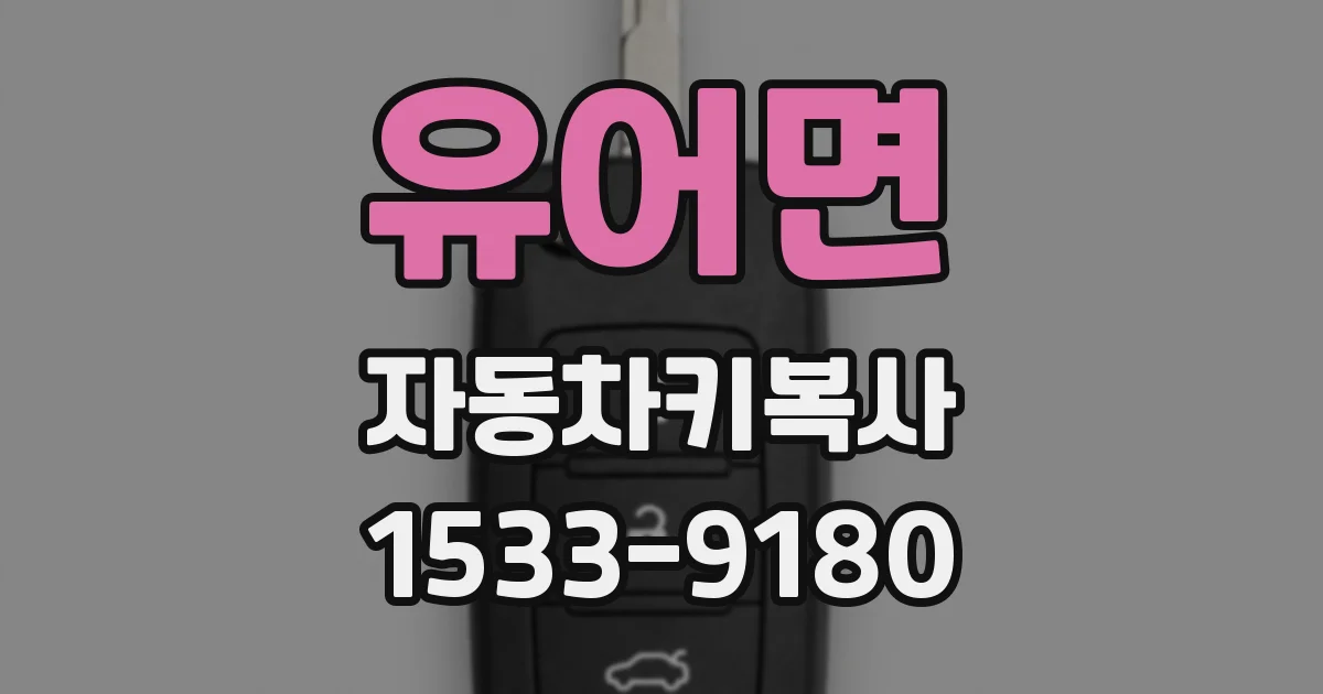 유어면 자동차키복사