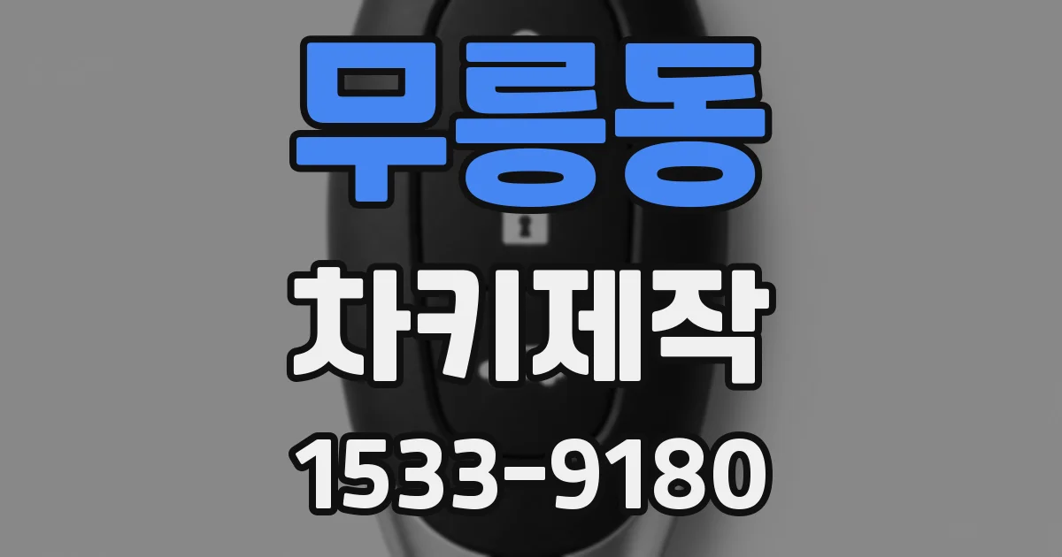 무릉동 차키제작