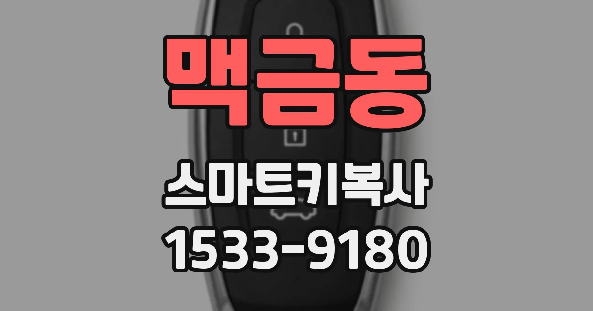 맥금동 스마트키복사