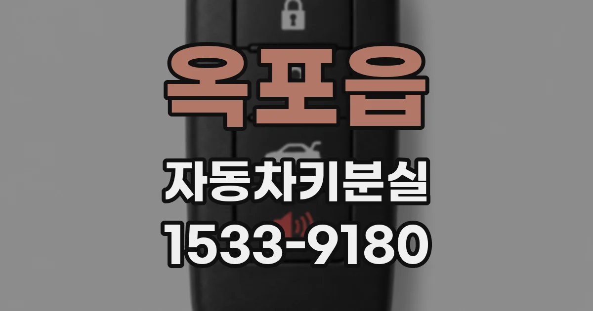 옥포읍 자동차키분실