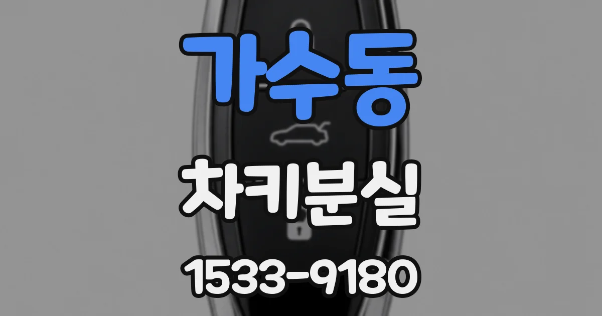 가수동 차키분실